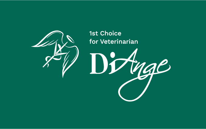 대한뉴팜 디앙쥬몰 리버프로 산(우르소데옥시콜산) 간 기능장애 개선제 리버프로,리버 프로,리버Pro,LiverPro,Liver프로,Liver,리버,우르소,우루소,우르사,우루사,UDDA,간