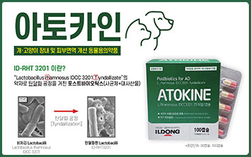 메인 작은 배너