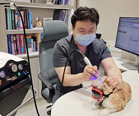 [유저인터뷰] 오로레이저 “즉각적인 치료 반응 및 부작용 없어 만족도와 신뢰 높여”