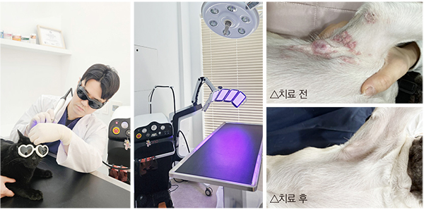 [유저 인터뷰] 오로레이저 “비침습적 치료로 약물 의존 줄이고 임상효과 높여”